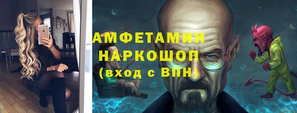 дживик Ельня