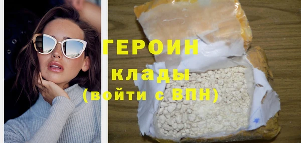 дживик Ельня