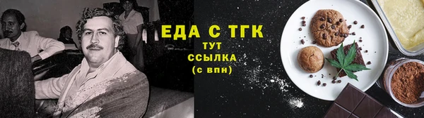 дживик Ельня