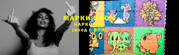 дживик Ельня