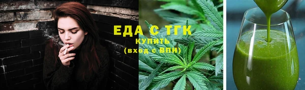 дживик Ельня