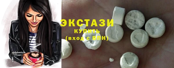 дживик Ельня