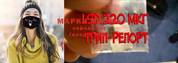 мет Елизово