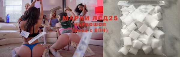дживик Ельня