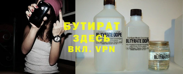 дживик Ельня