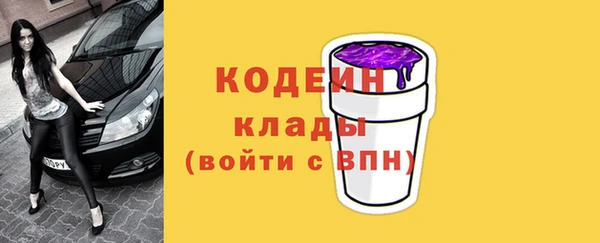 мет Елизово