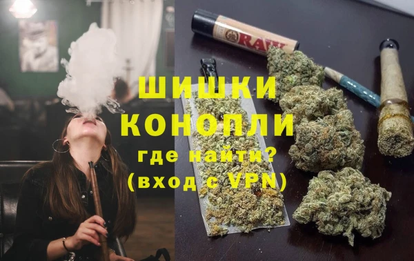 дживик Ельня