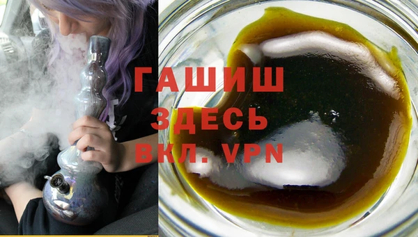 дживик Ельня