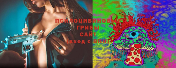 мет Елизово