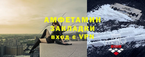 дживик Ельня