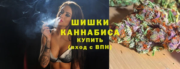 дживик Ельня