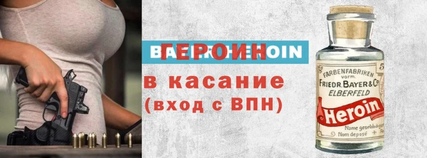 дживик Ельня