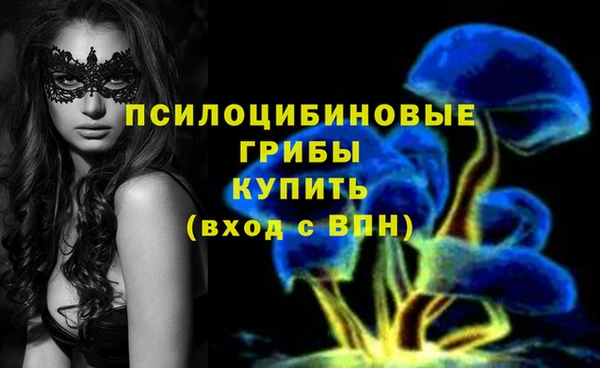 2c-b Елабуга