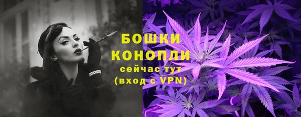 дживик Ельня