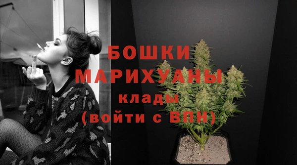 мет Елизово